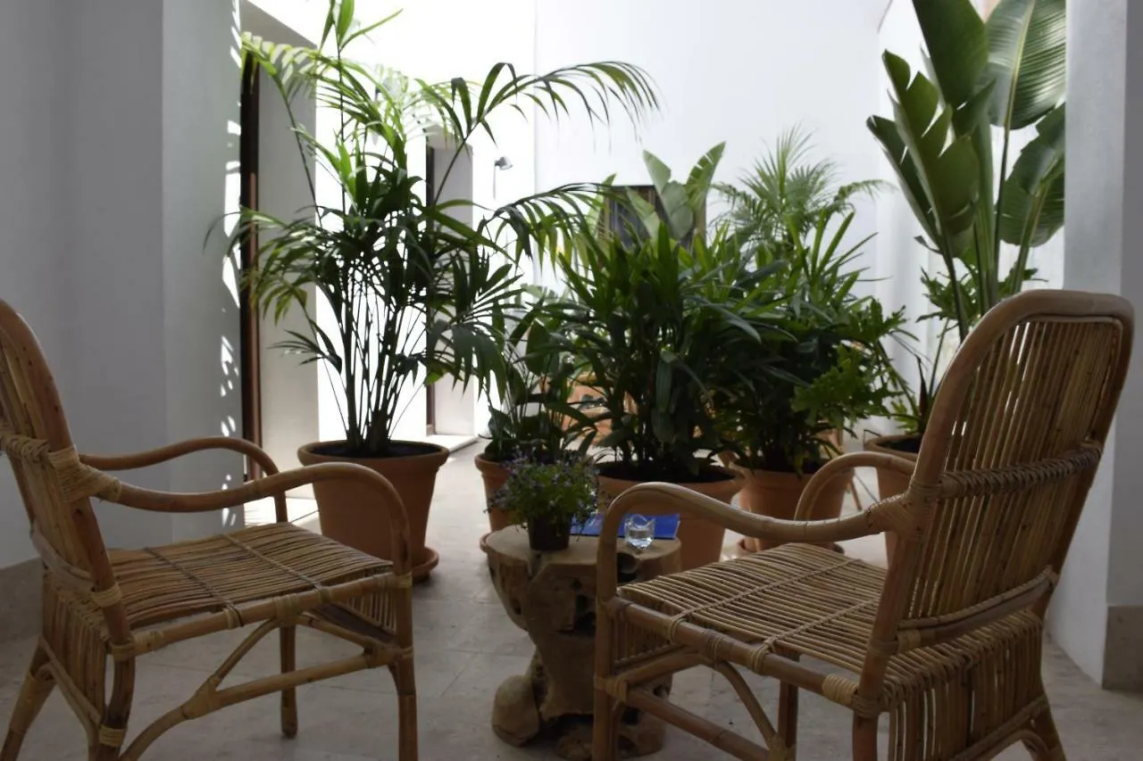 Chacon Apartments & Suites Estepona